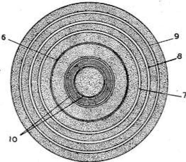 How we almost ended up with a bull’s-eye bar code